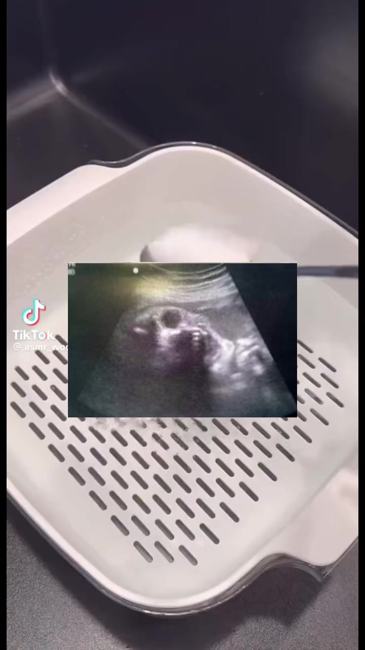 @<✩𝓜𝓪𝔁𝓲𝓷𝓮✩>