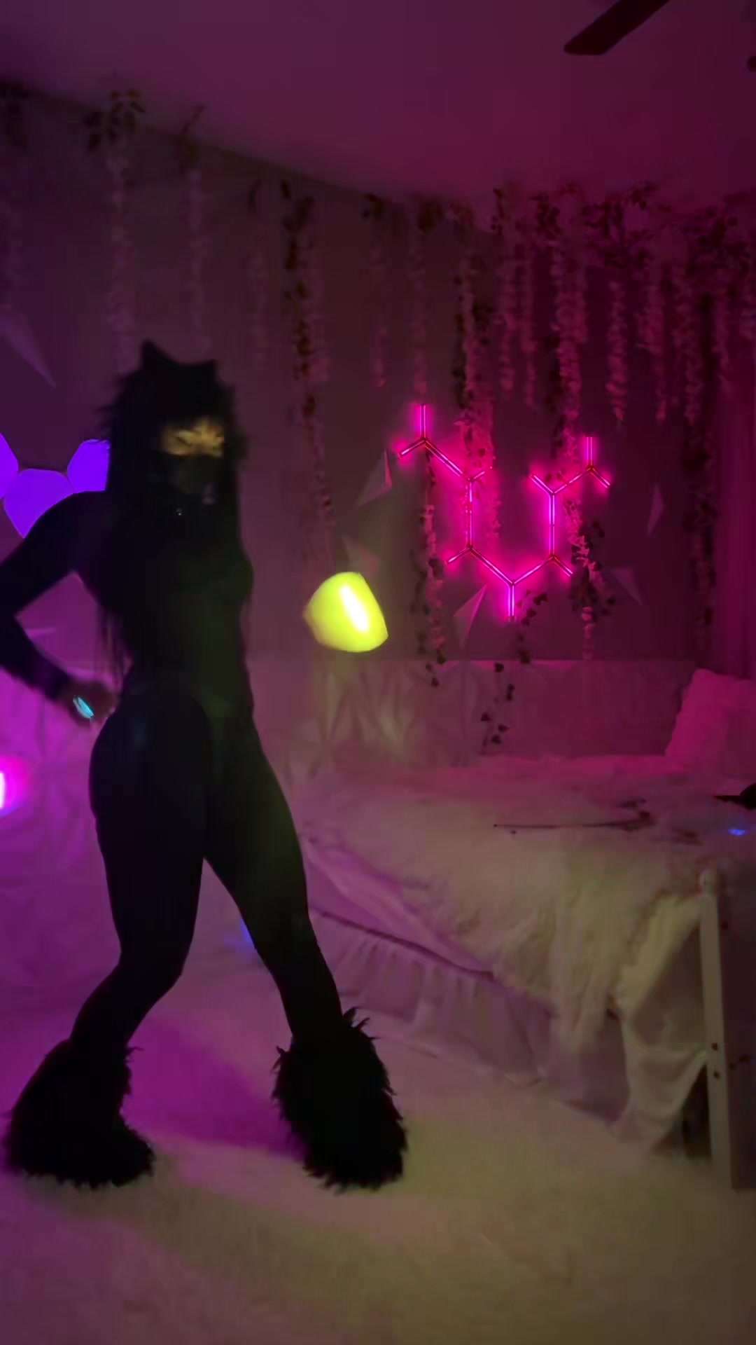 @Pyro.Kitten