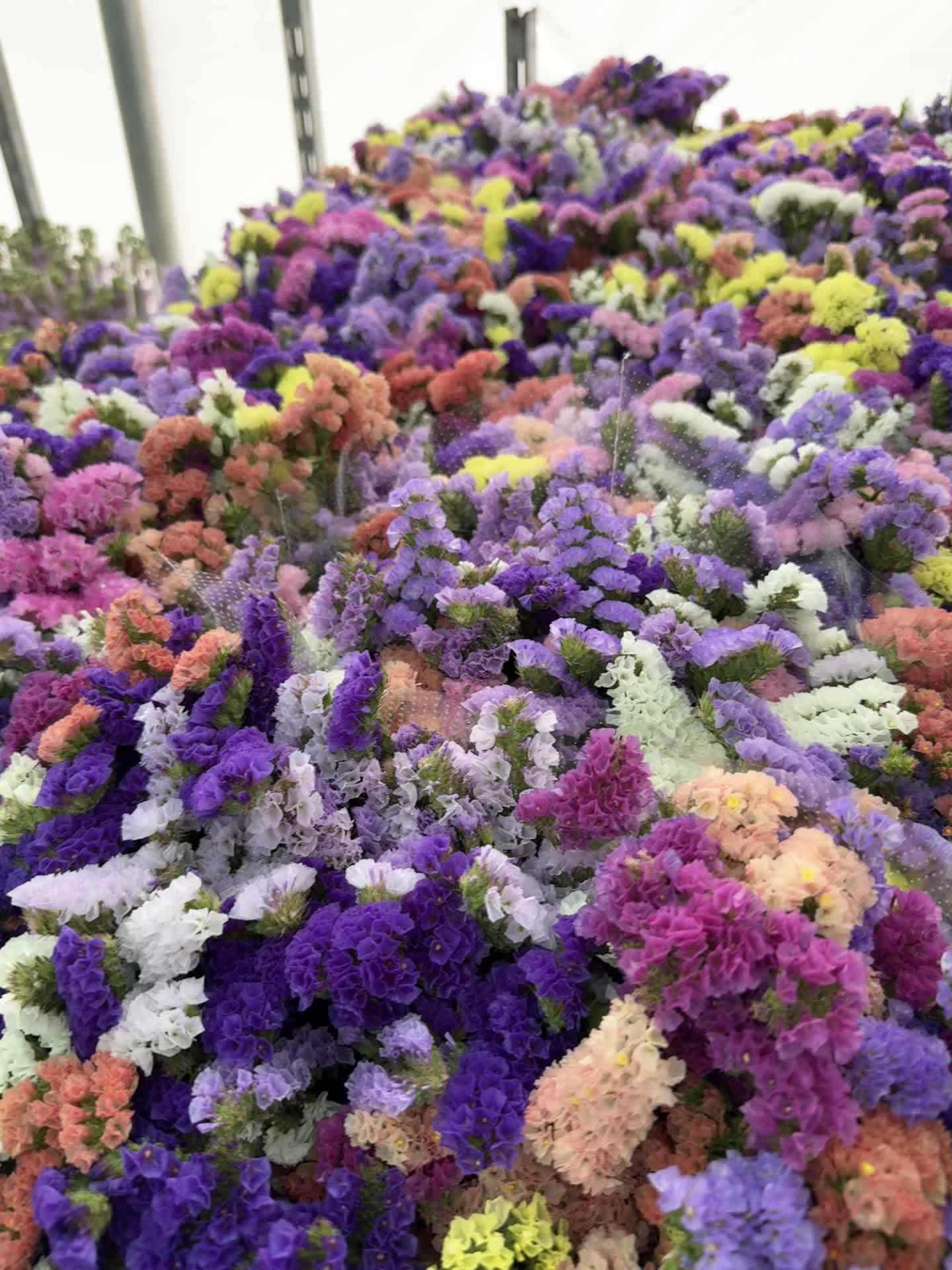 @Casconefiori