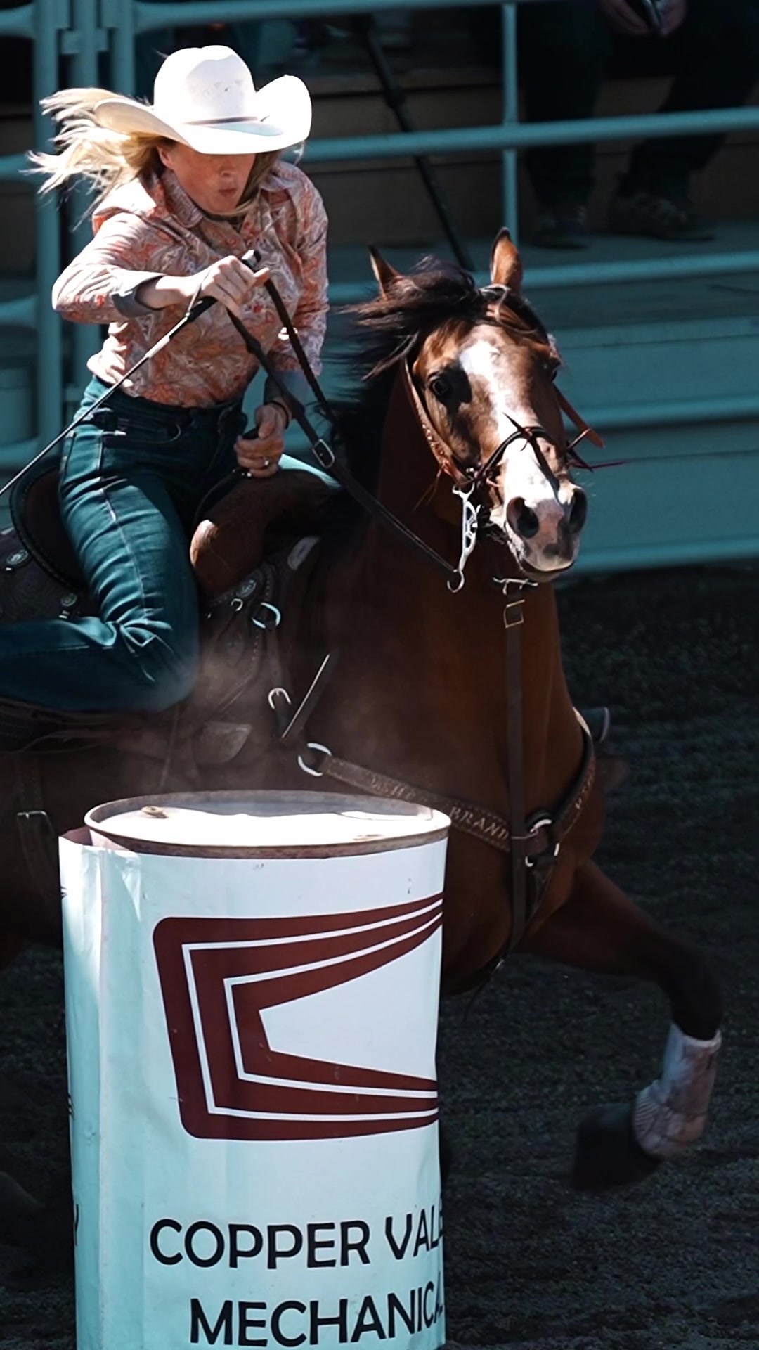@Hanginghorses