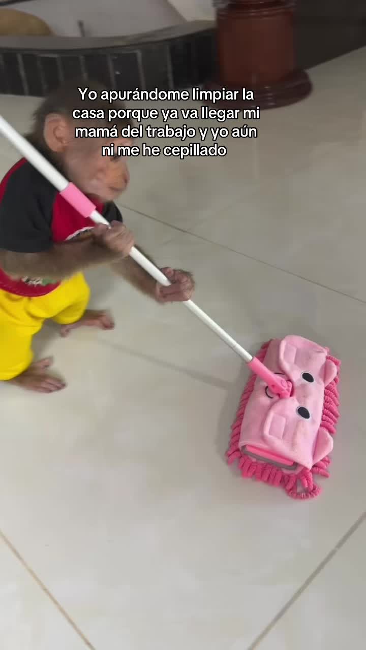 @jaremonox