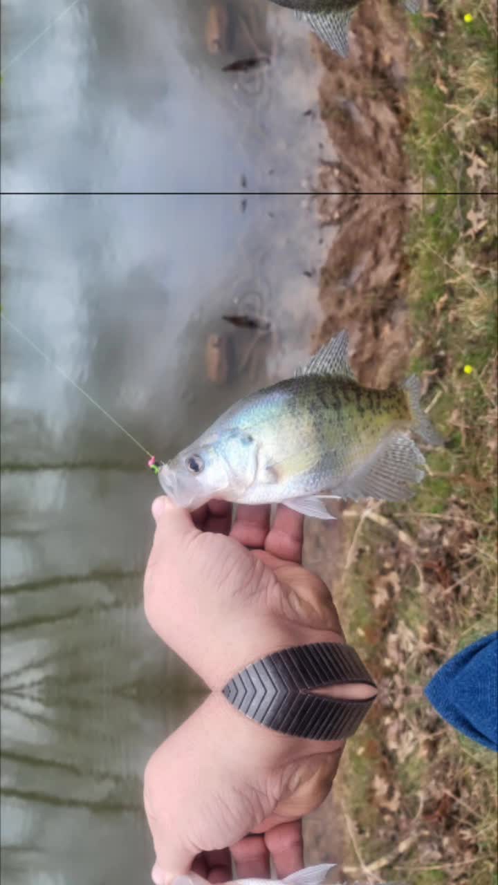 @ohio_fishermn76