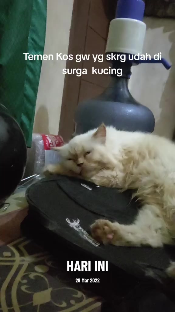 @𝙞𝙆𝙮