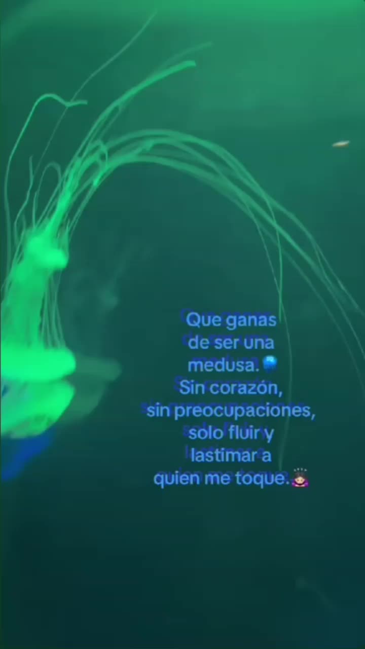 @_Karenn.188
