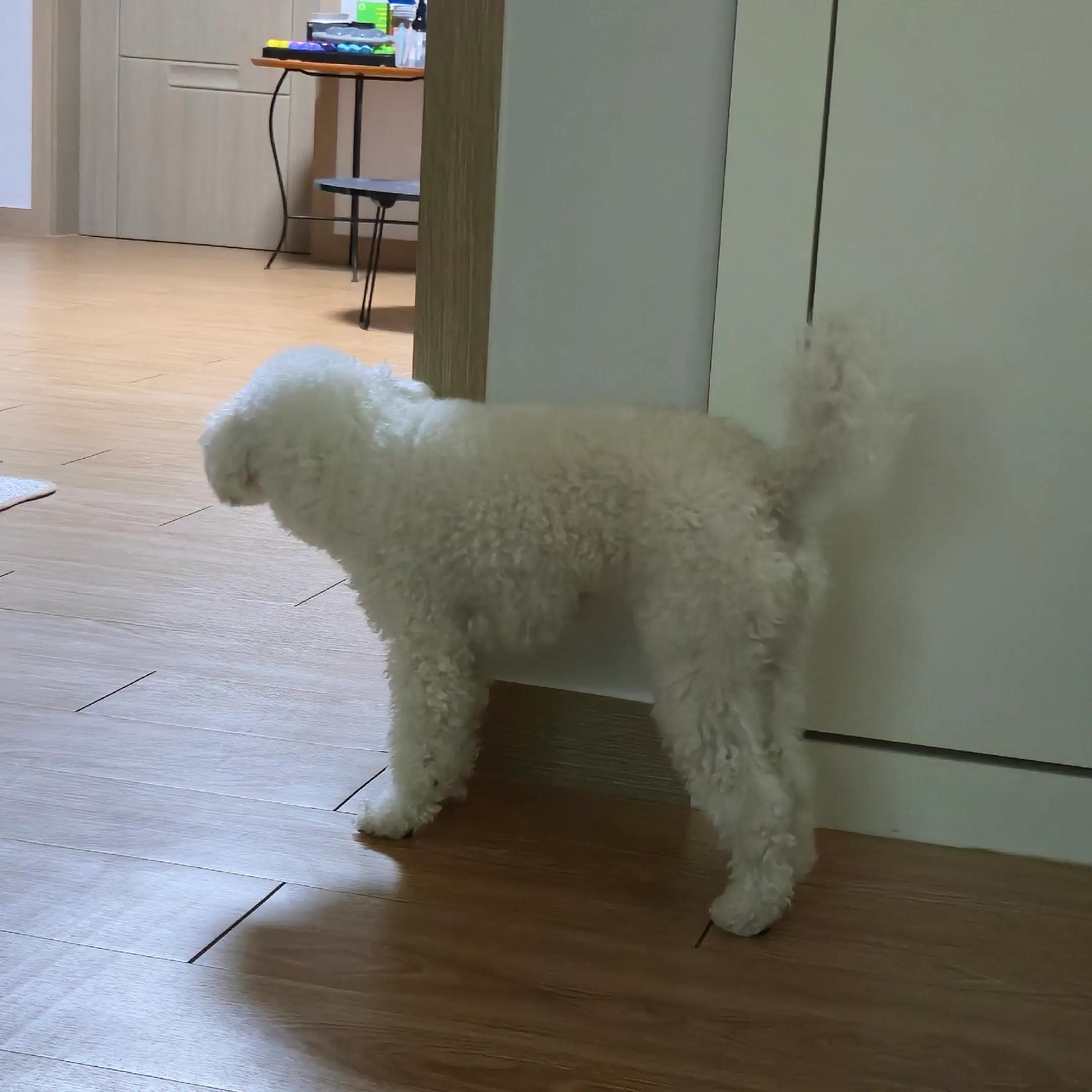 @♡♡구원KooWon♡♡