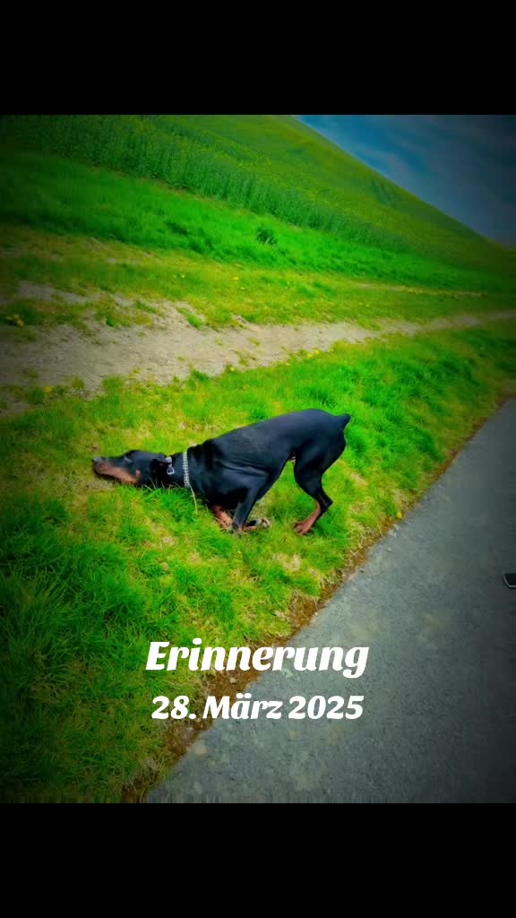 @🦊Rotf&uuml;chsin🦊