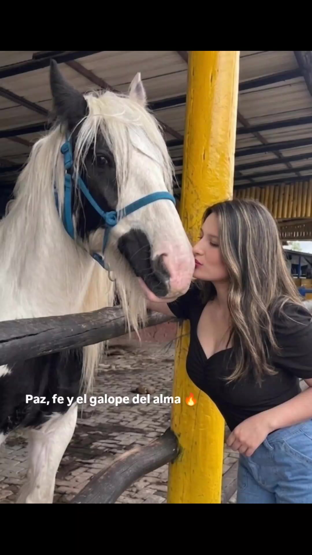 @Carolina&bull;🦋&bull;