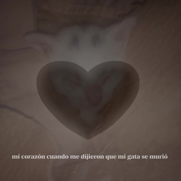 @💜 astro 💜