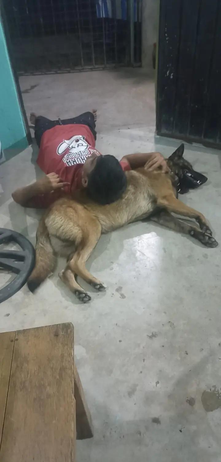 @Schatten