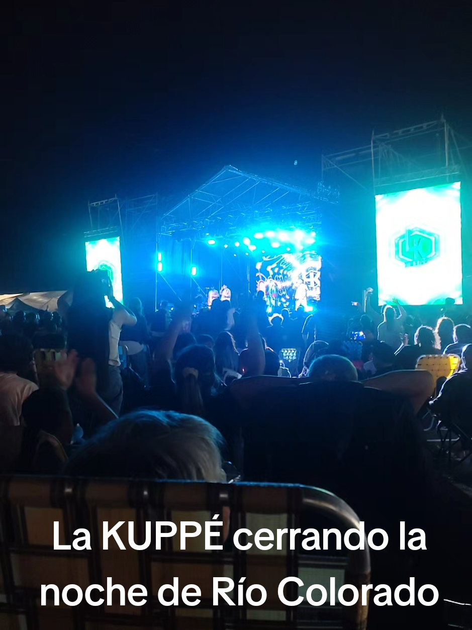 @miguelvivas739