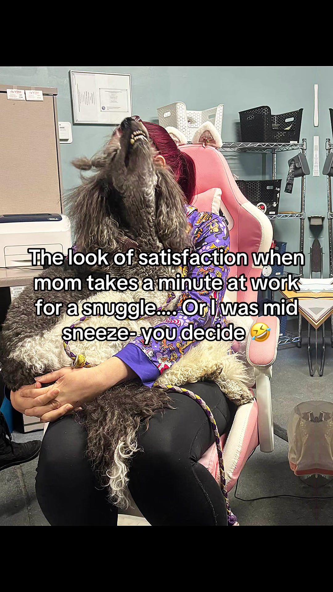 @Luxe The Adventure Poodle