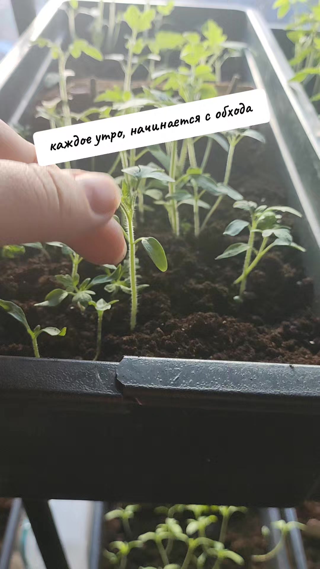 @Светлана Усова