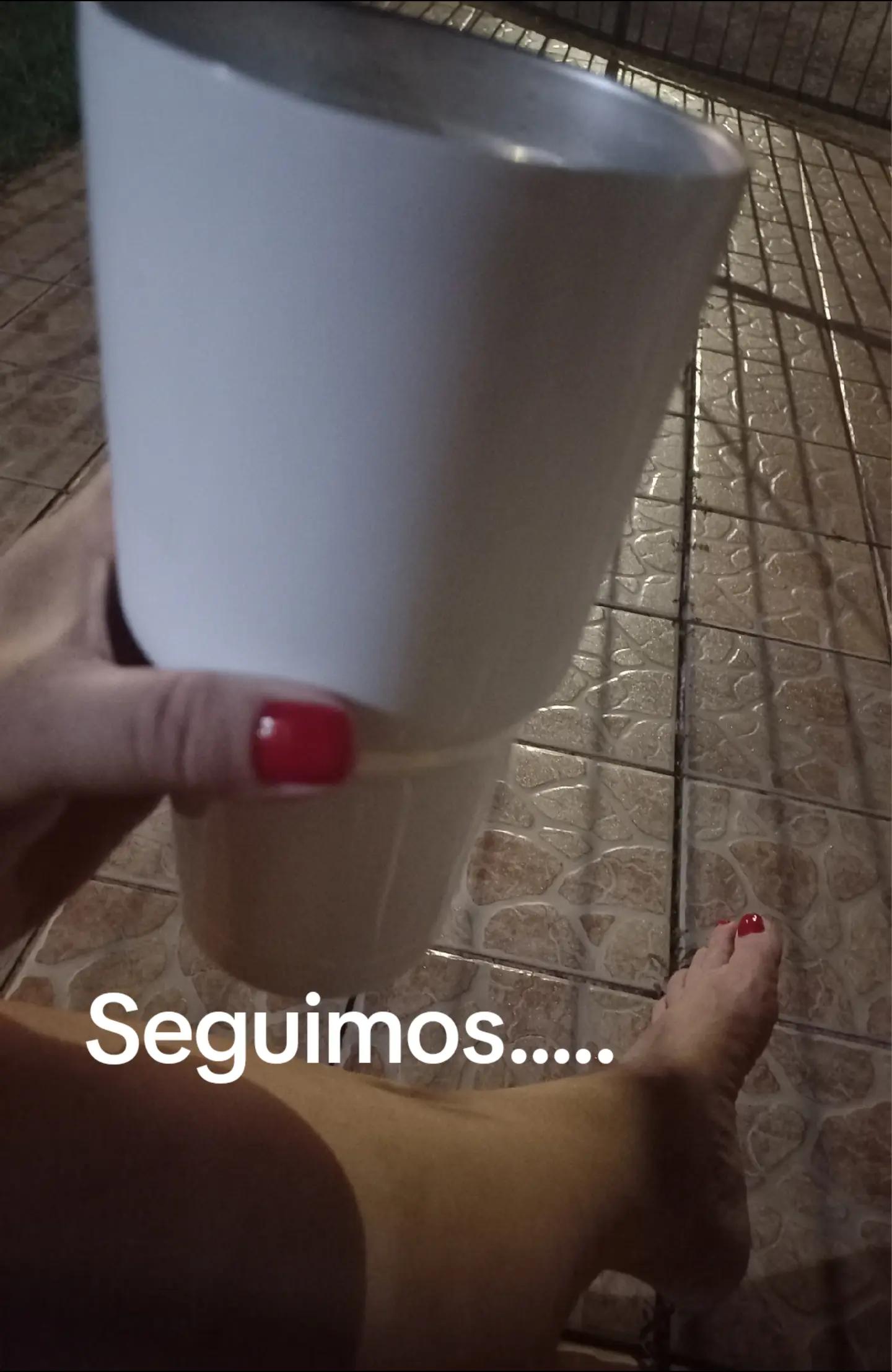 @Si ga&uacute;cha Oficial👸