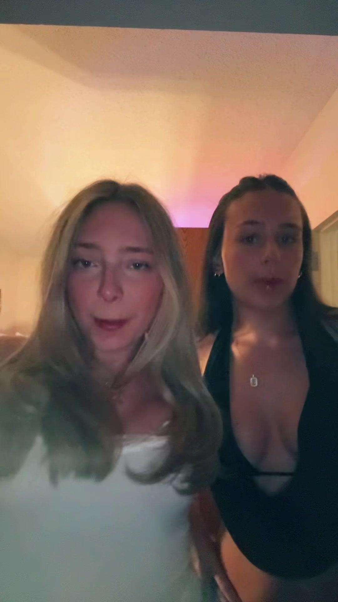 @bellaserp