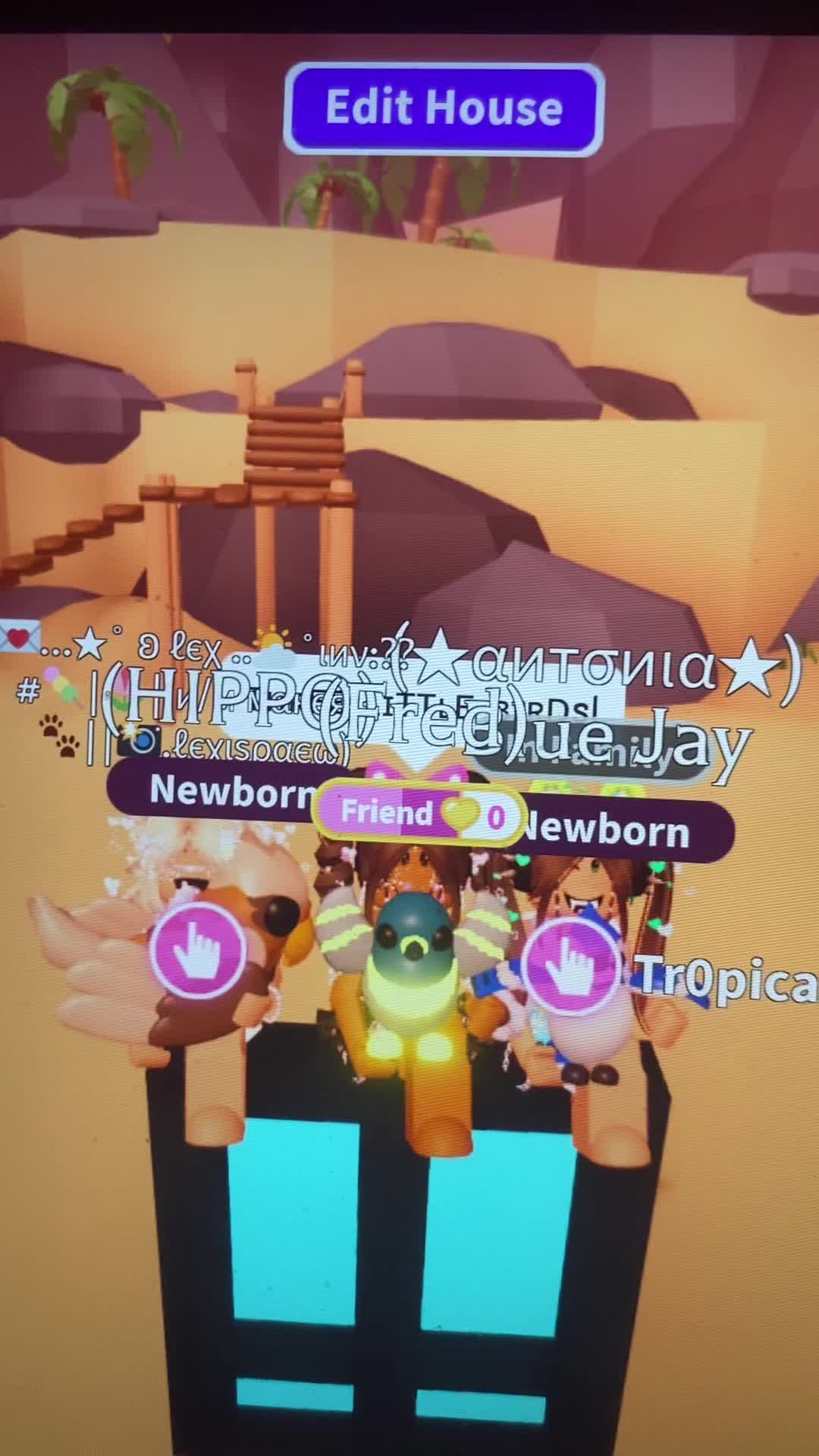 @⭐️ᴀɴɢ🌈