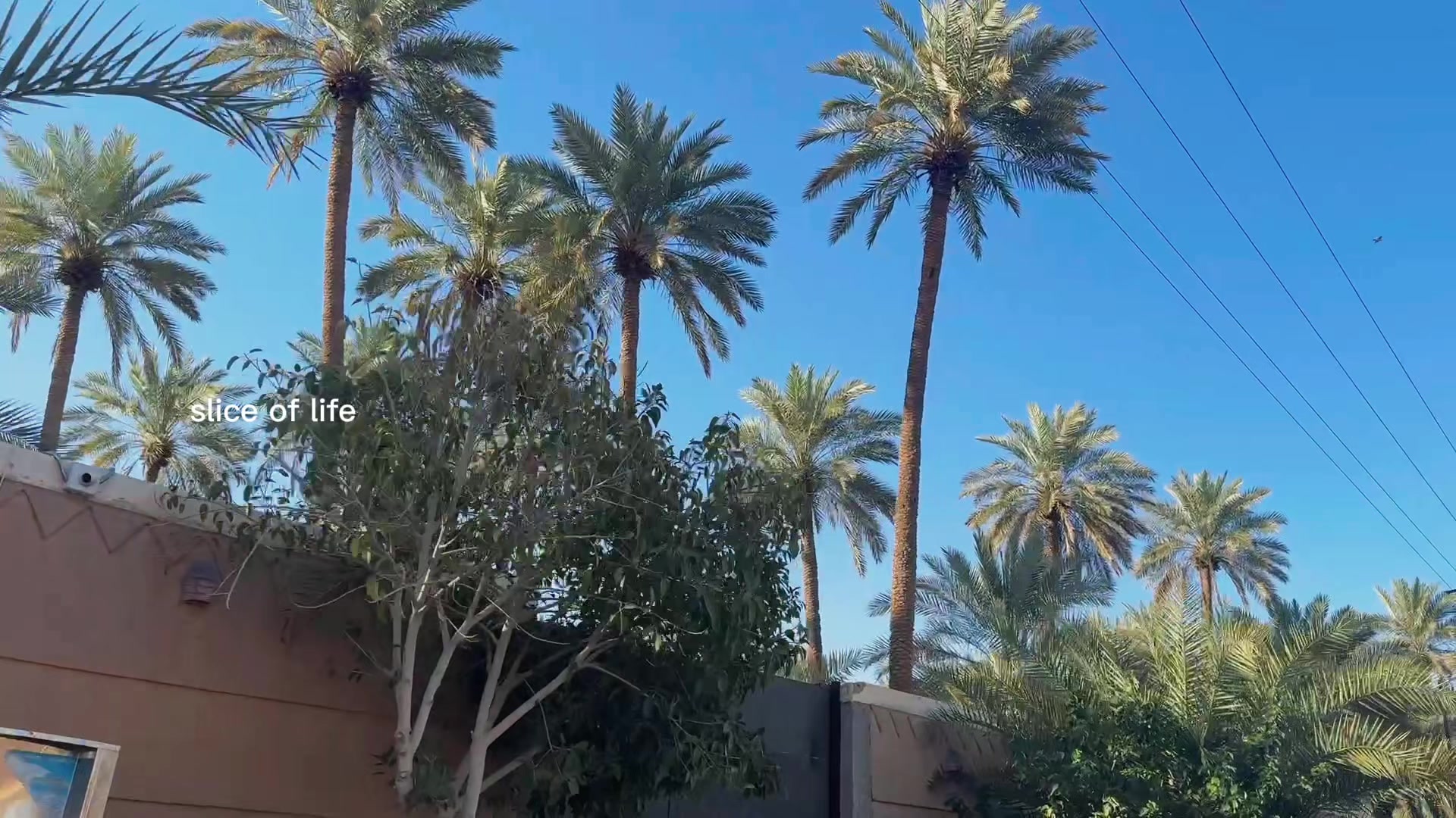 @يوميات امل