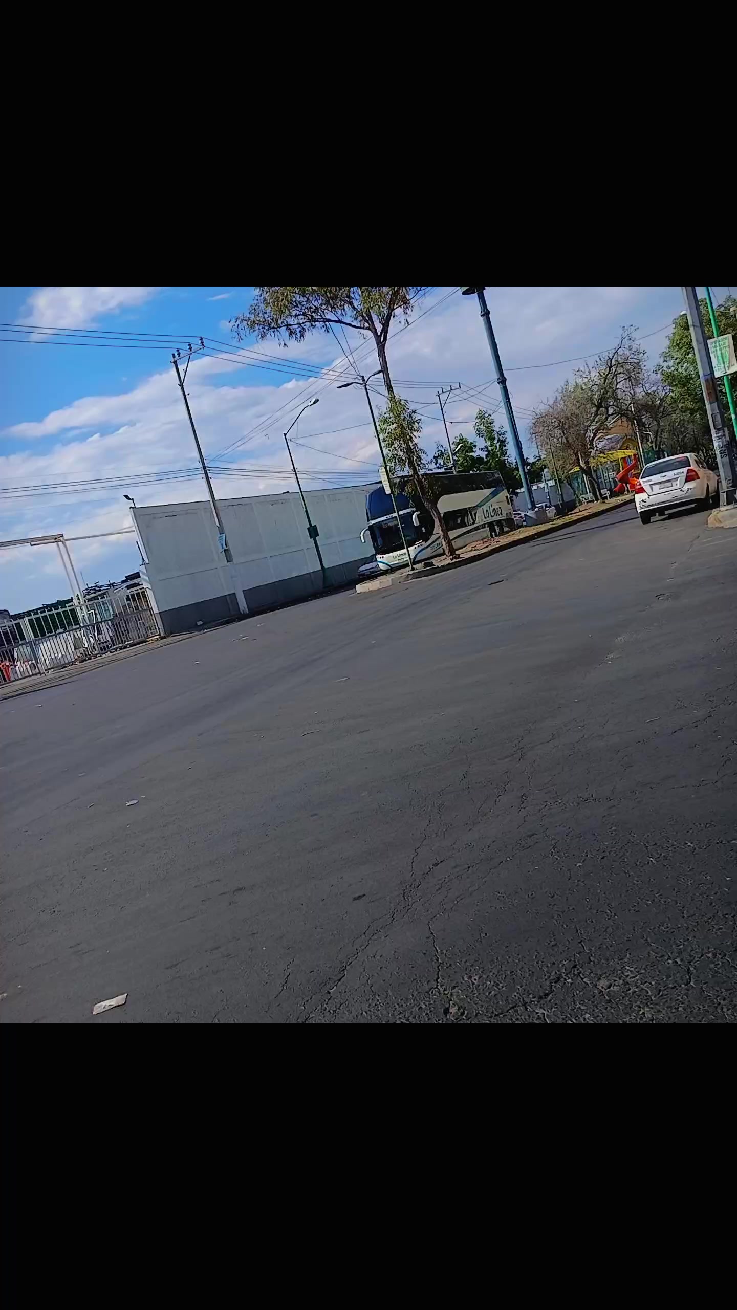 @🍁 " Busologuia_Mexico_NT "🍁