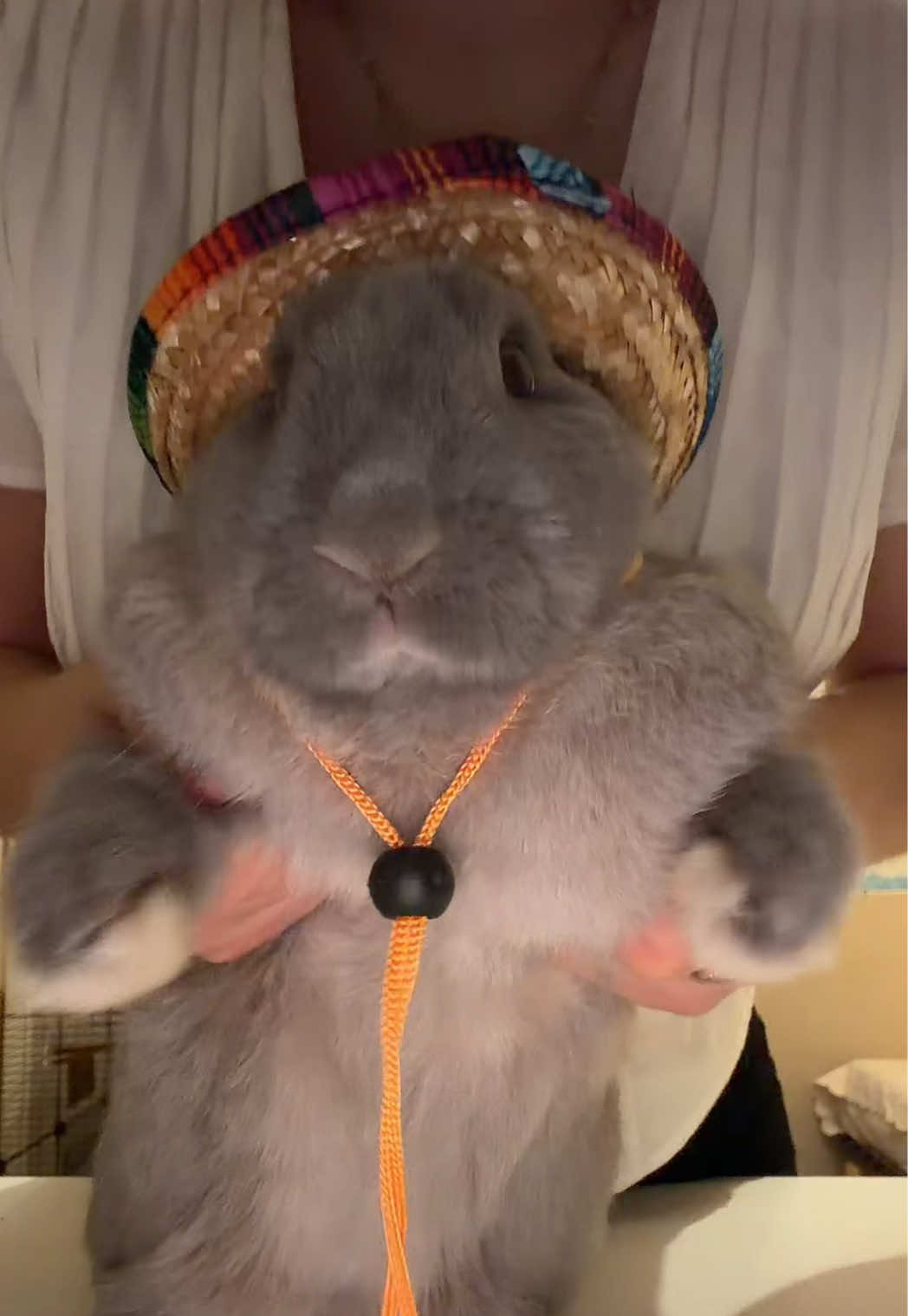 @PantoufleLapin