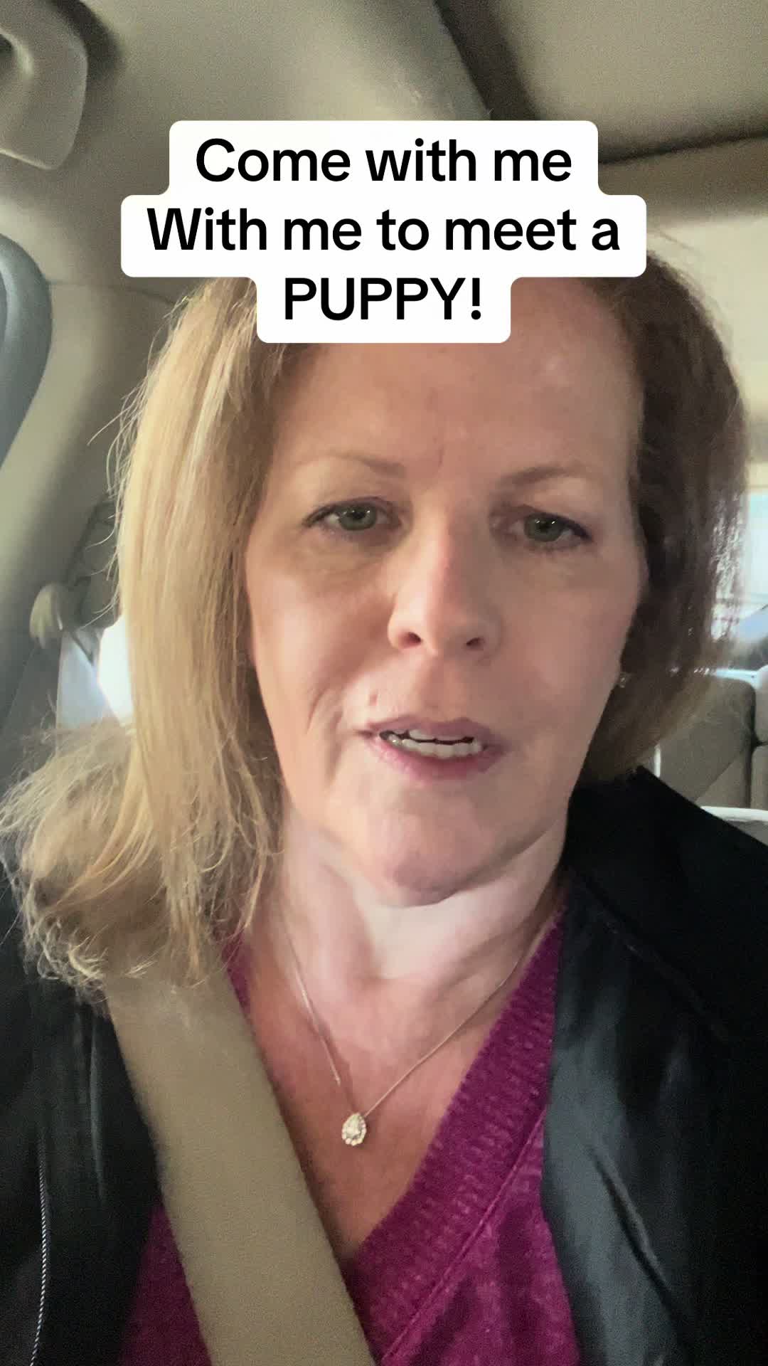 @Pibblingaround