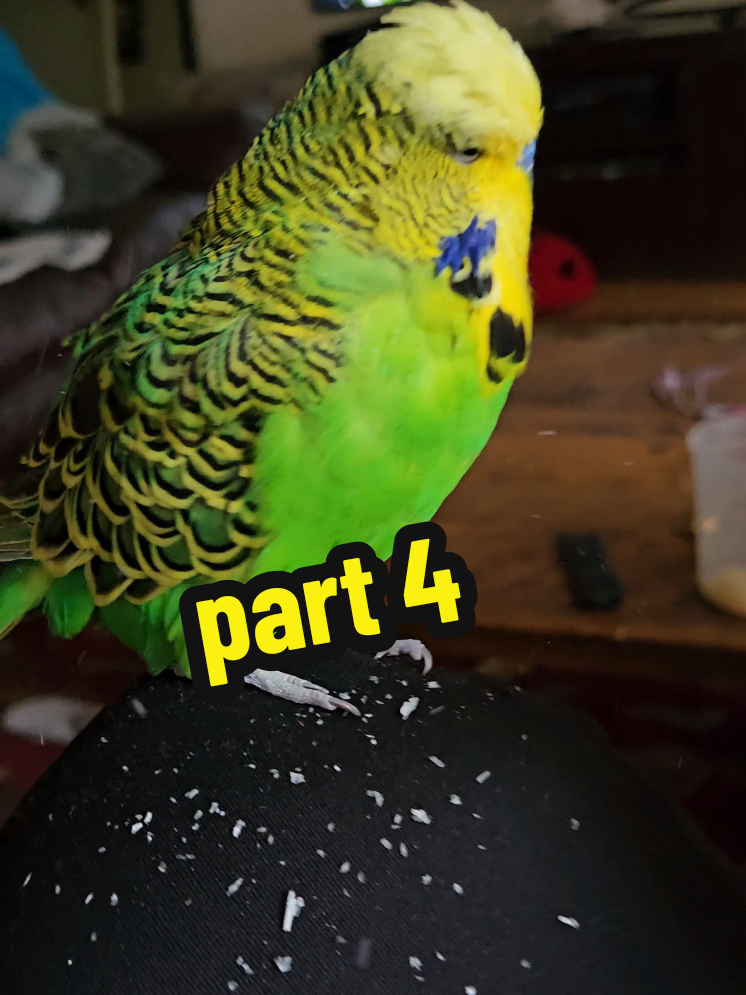 @Run Slow-Mo Charlie🦜