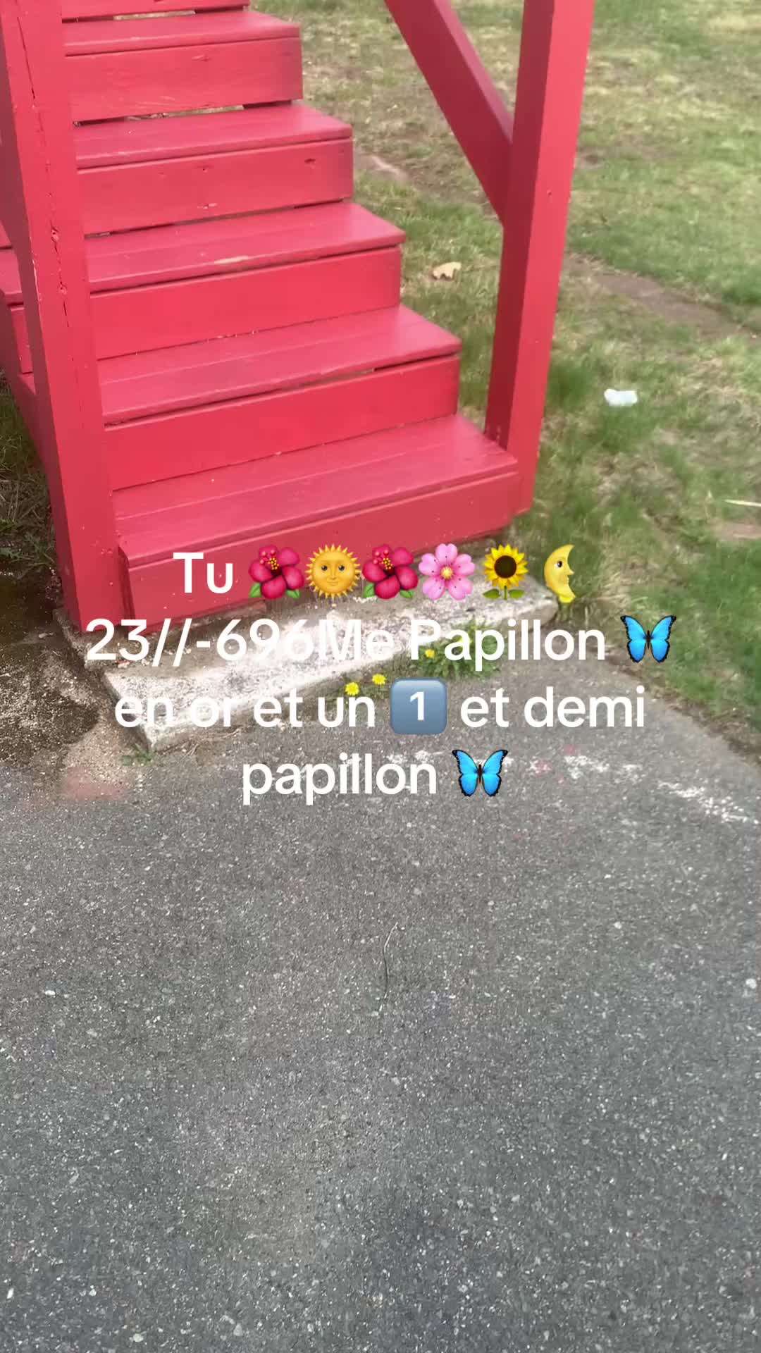 @Neite@Decimus.Papillonvert