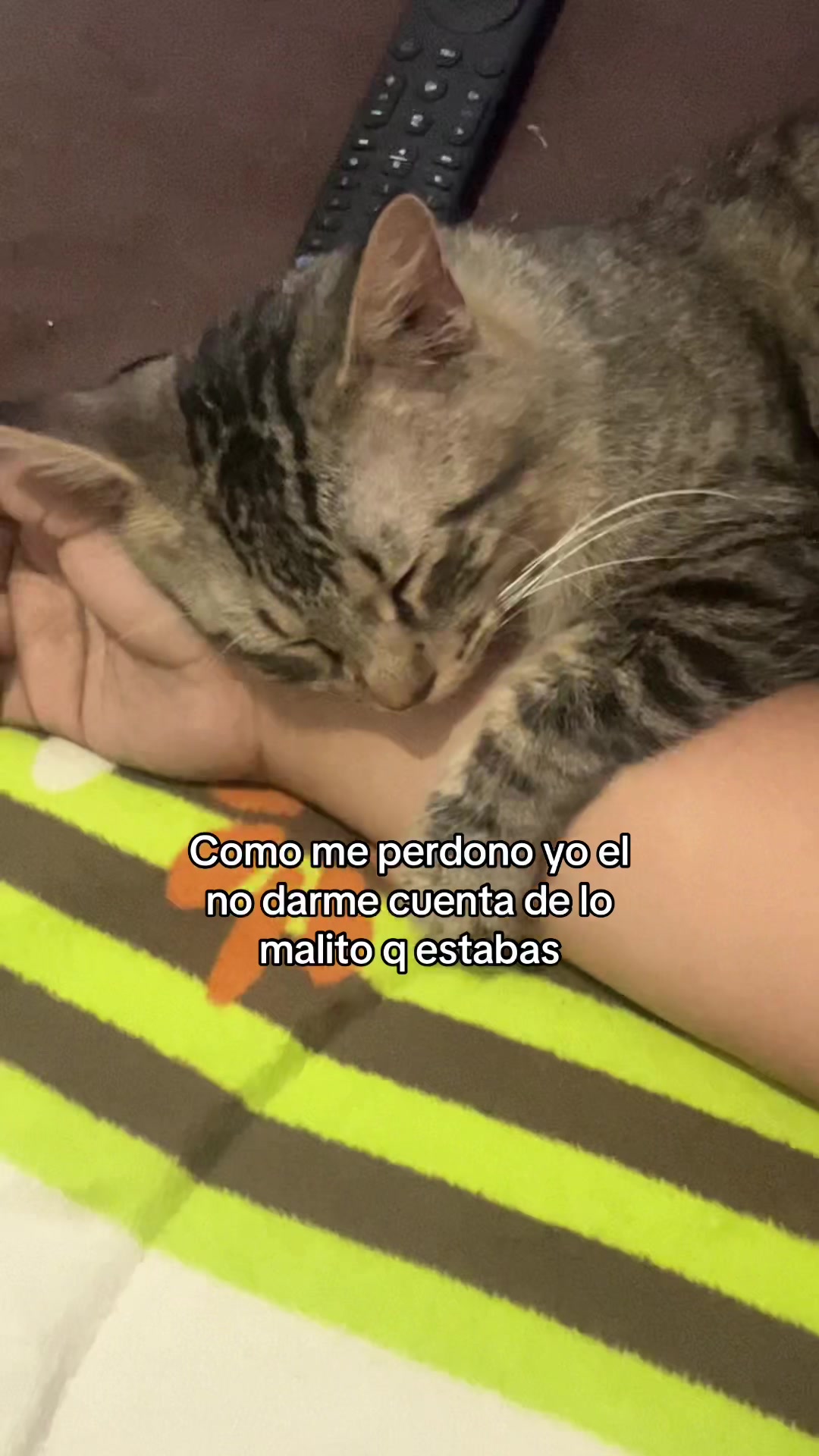 @𝓐𝓻𝓪𝓶𝔂 𝓡𝓿