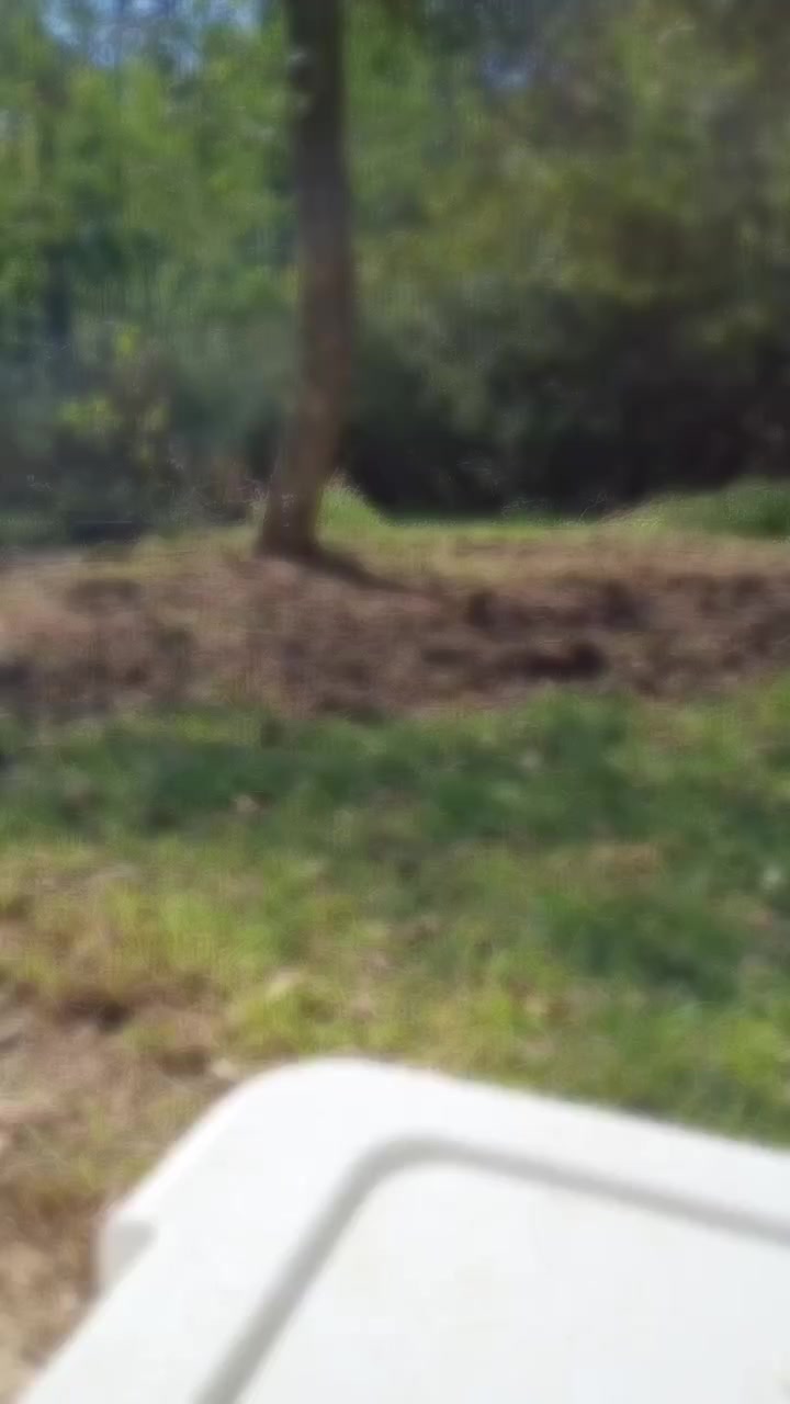 @the_delusional_twizted_taco