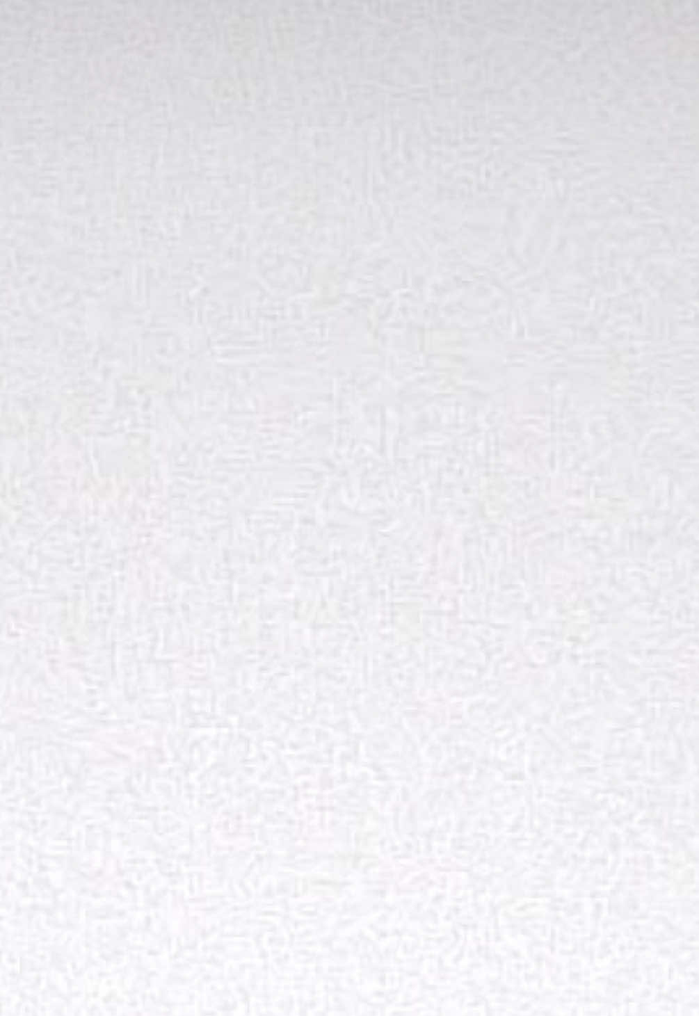 @𝒩𝑜𝑒𝓁