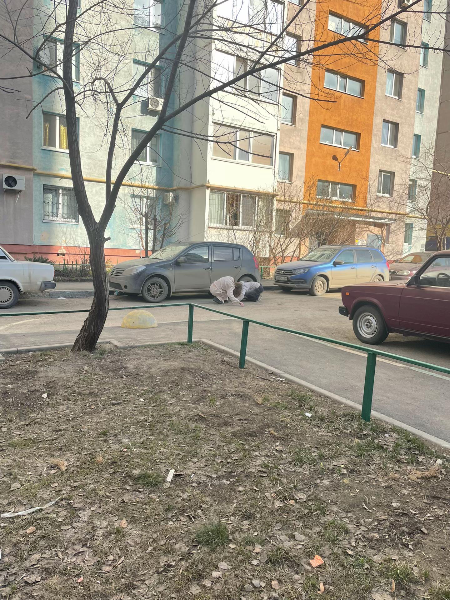 @викис