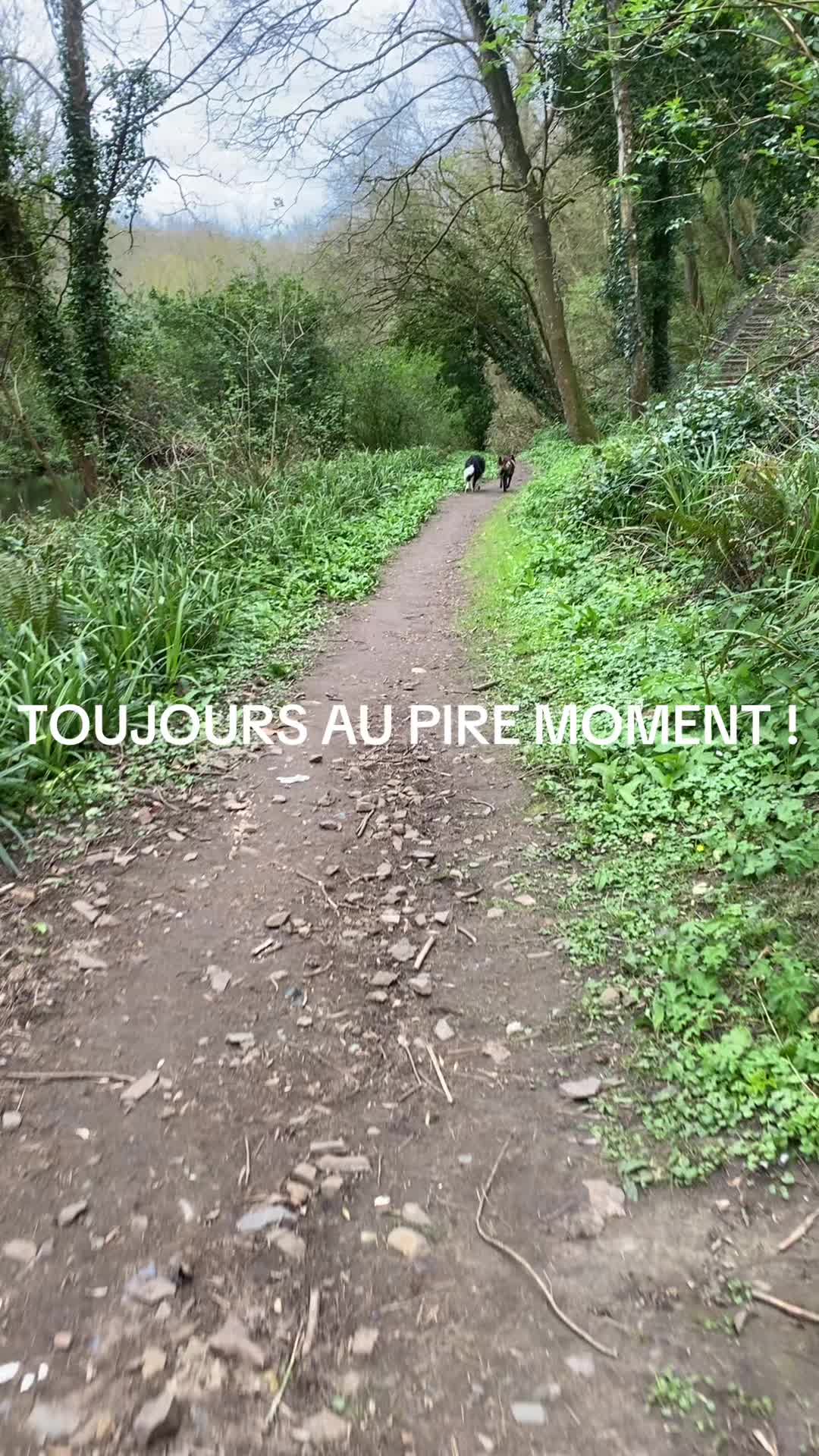 @PacoPacoPaco_le_chien