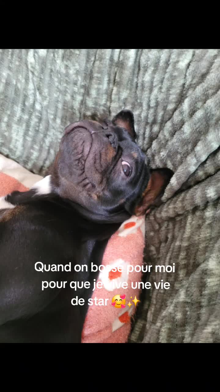 @Ma Vie Femme Maman Coiffeuse