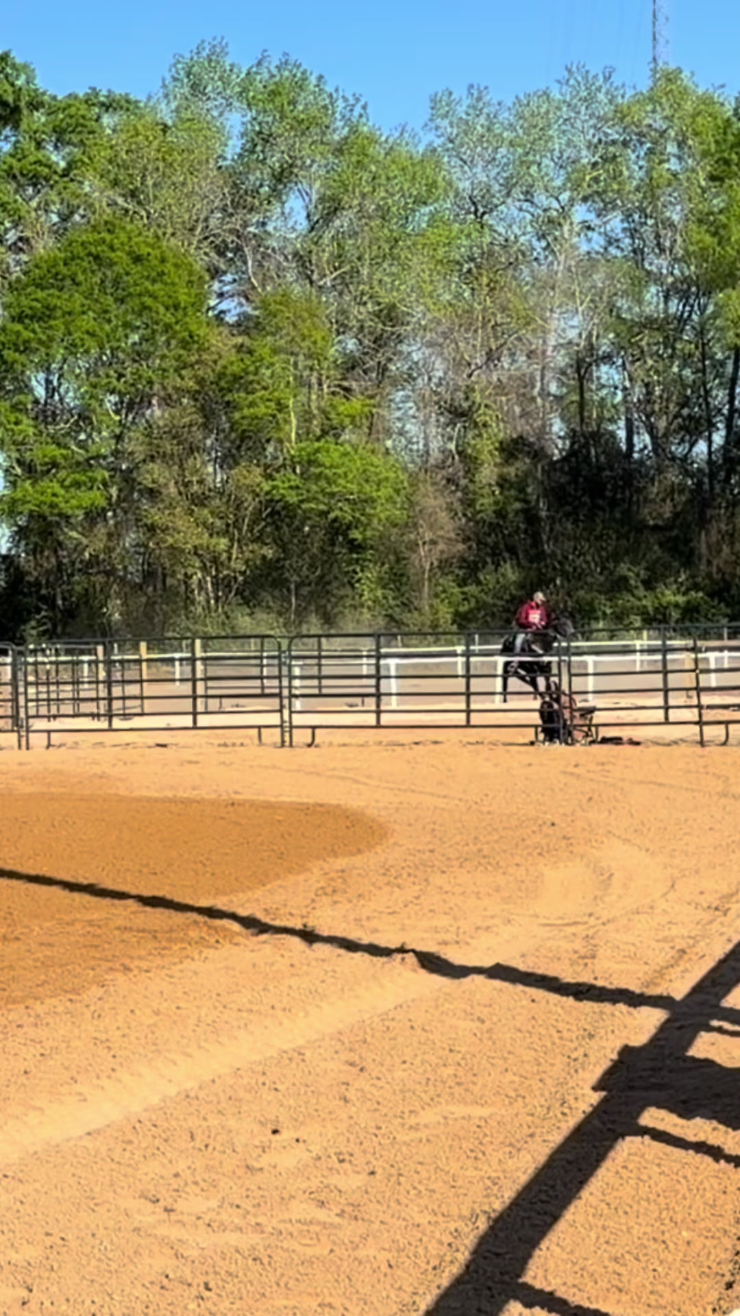 @Brit. L | Barrel Racer