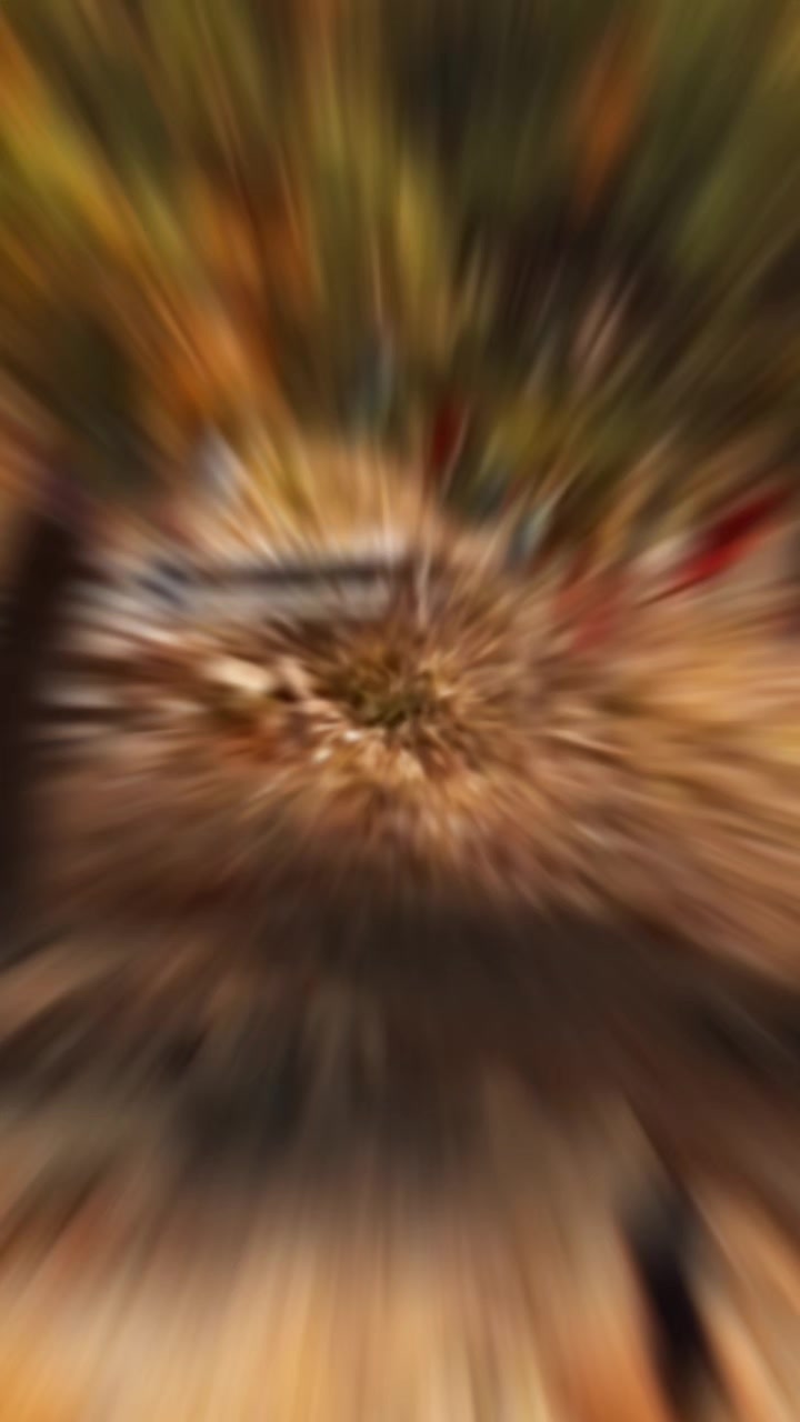 @오아시스