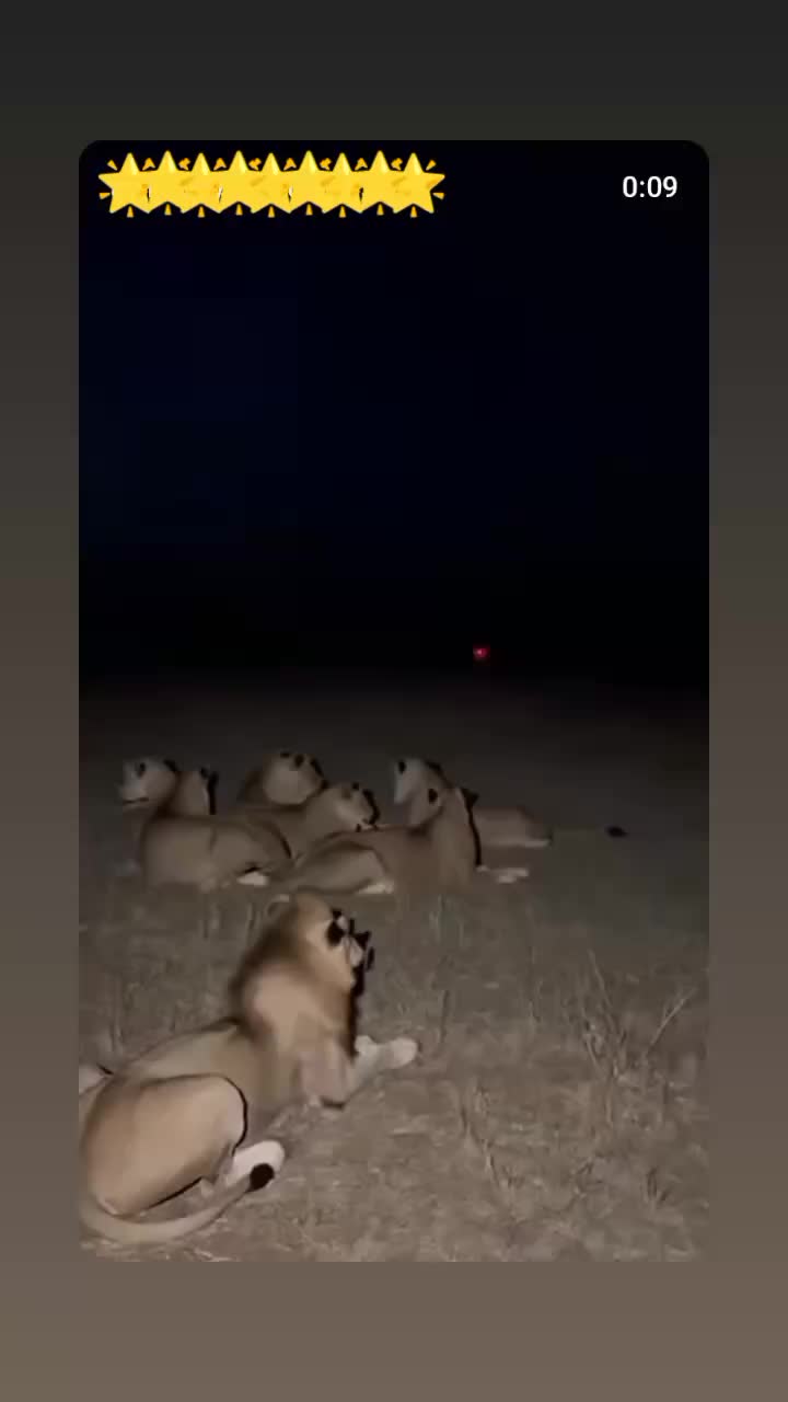 @🦅Bir umuttur yaşamak🦅