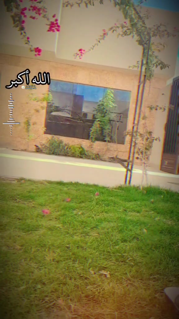 @Sajjad  jajja 🇵🇰&hearts;️🇸🇦&hearts;️🥷