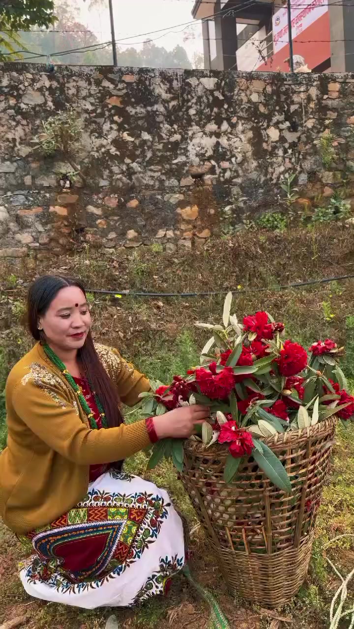 @Rashamimagar