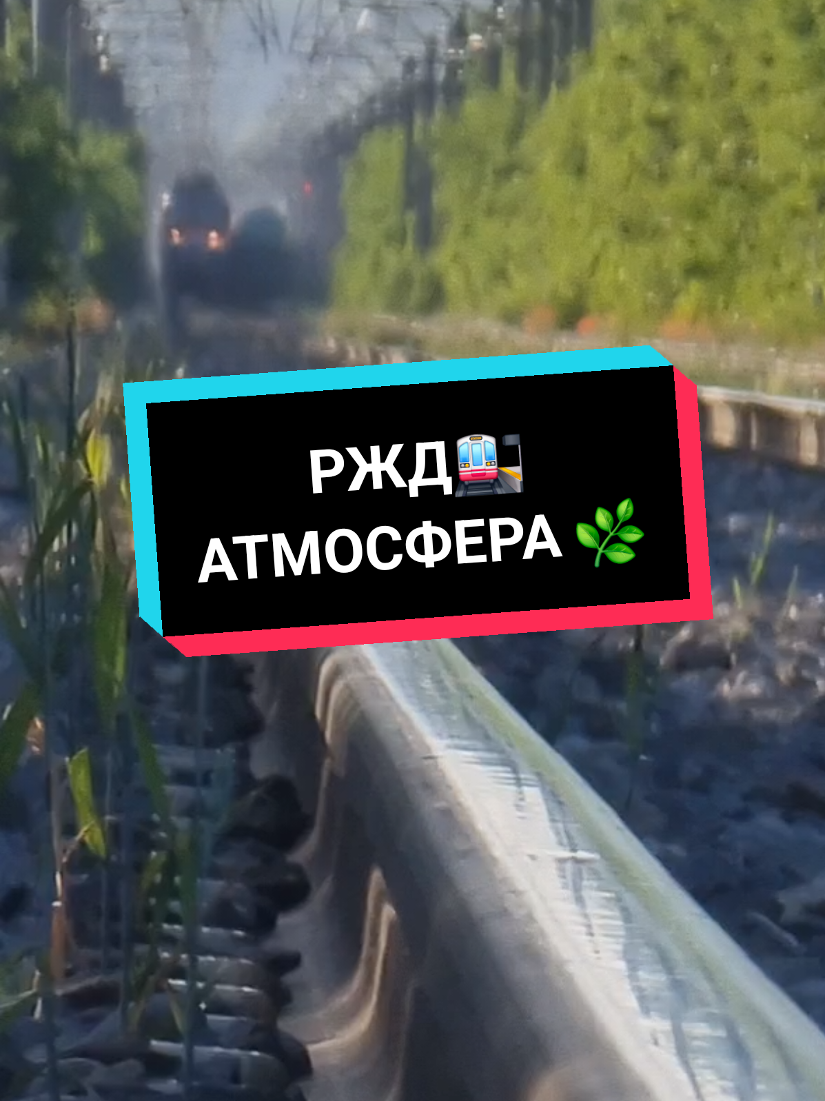 @Дмитрий Шейкин