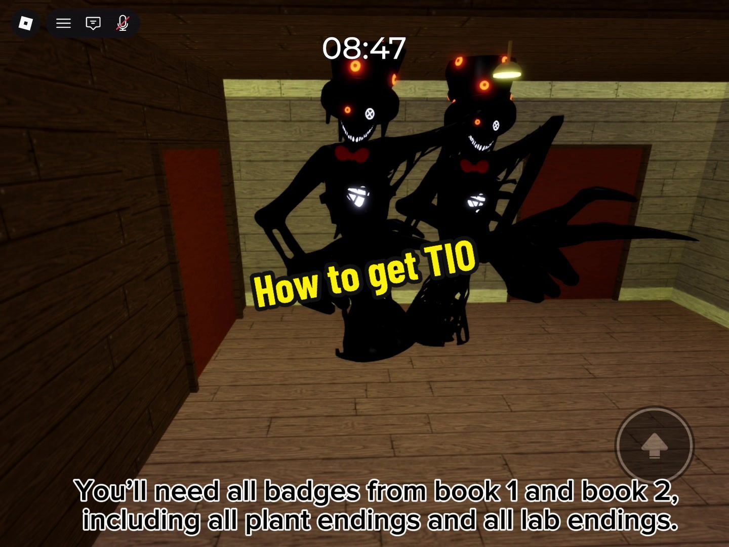 @Piggy guide