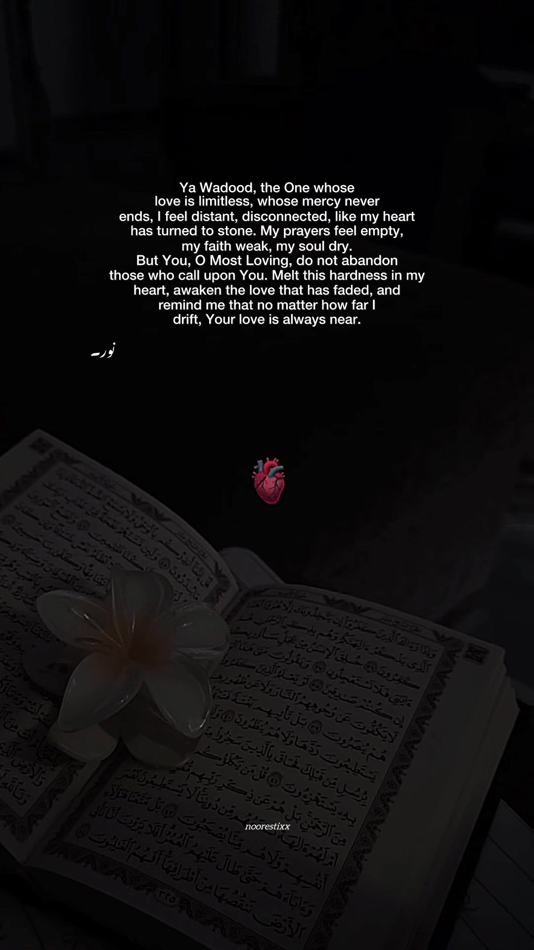 @نور🦢