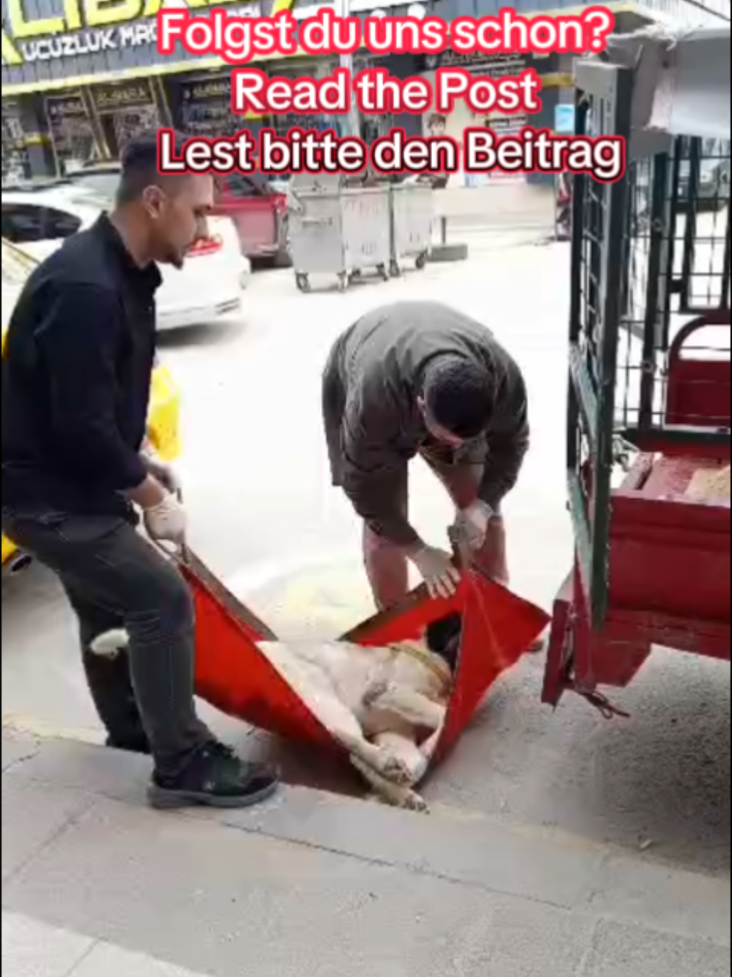 @Tierheim Candostlari