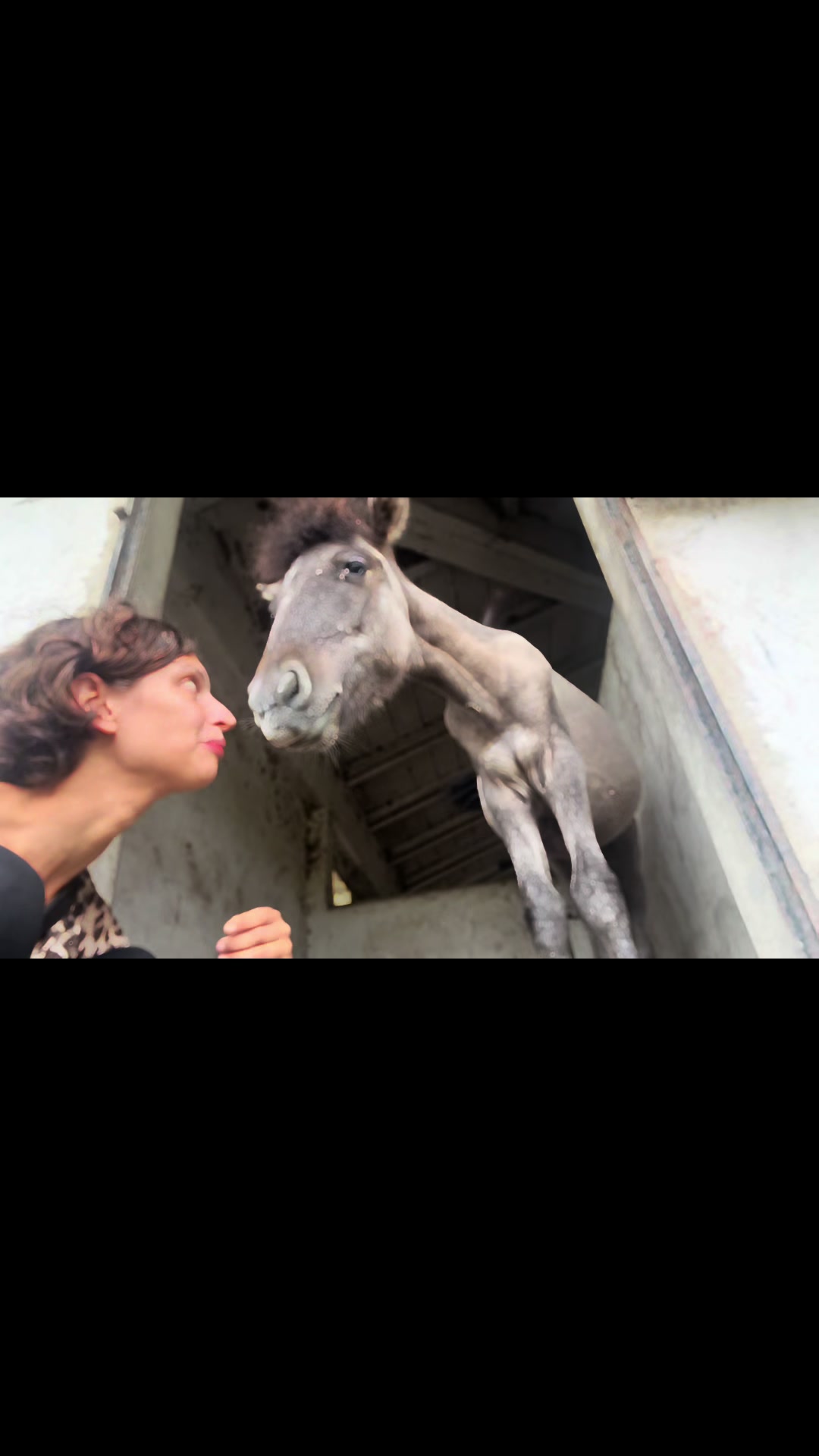 @Passione animali ❤️