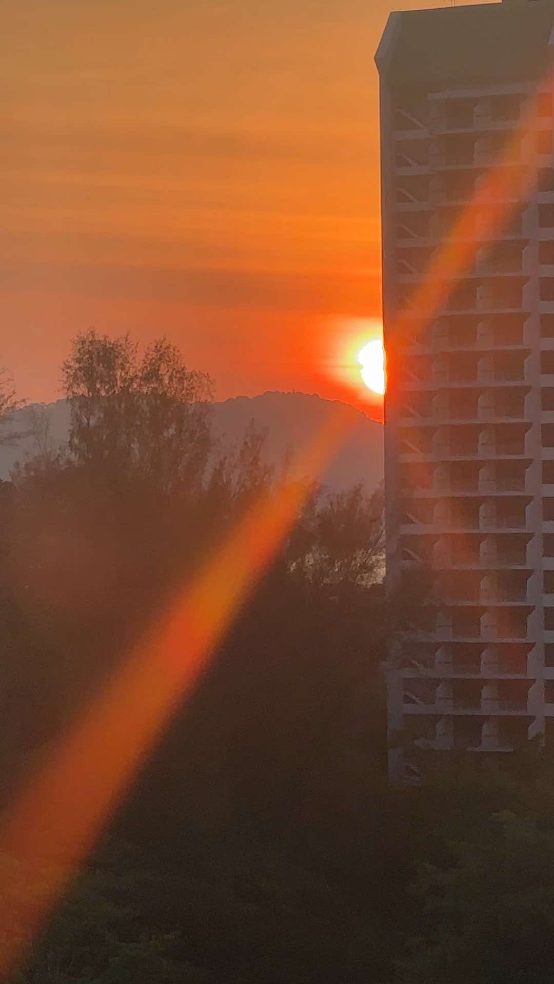 @09:09 🦢🪬
