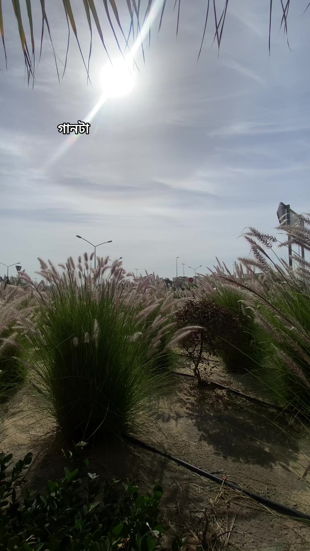 @㋡𝙰_𝚜_𝚁_𝚊_𝙵㋡         _🇰🇼