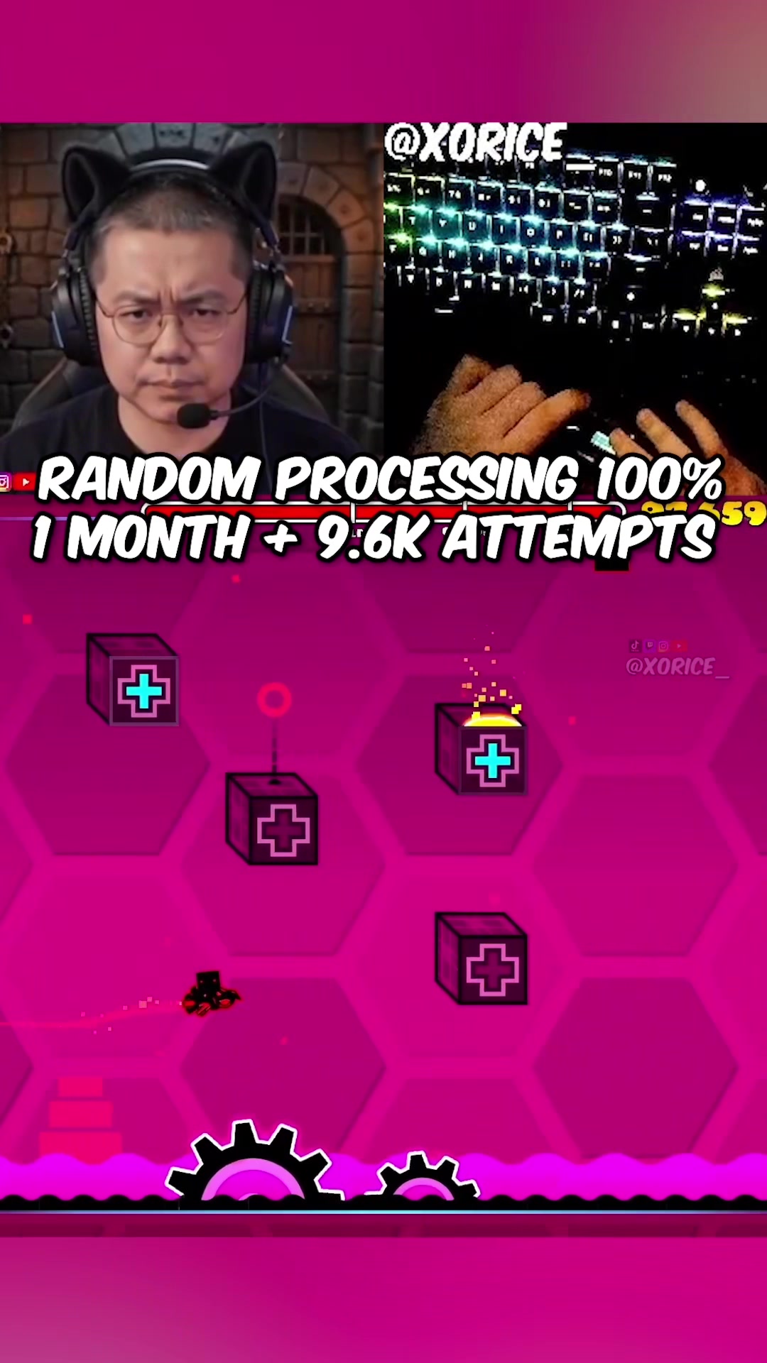 @XoRice