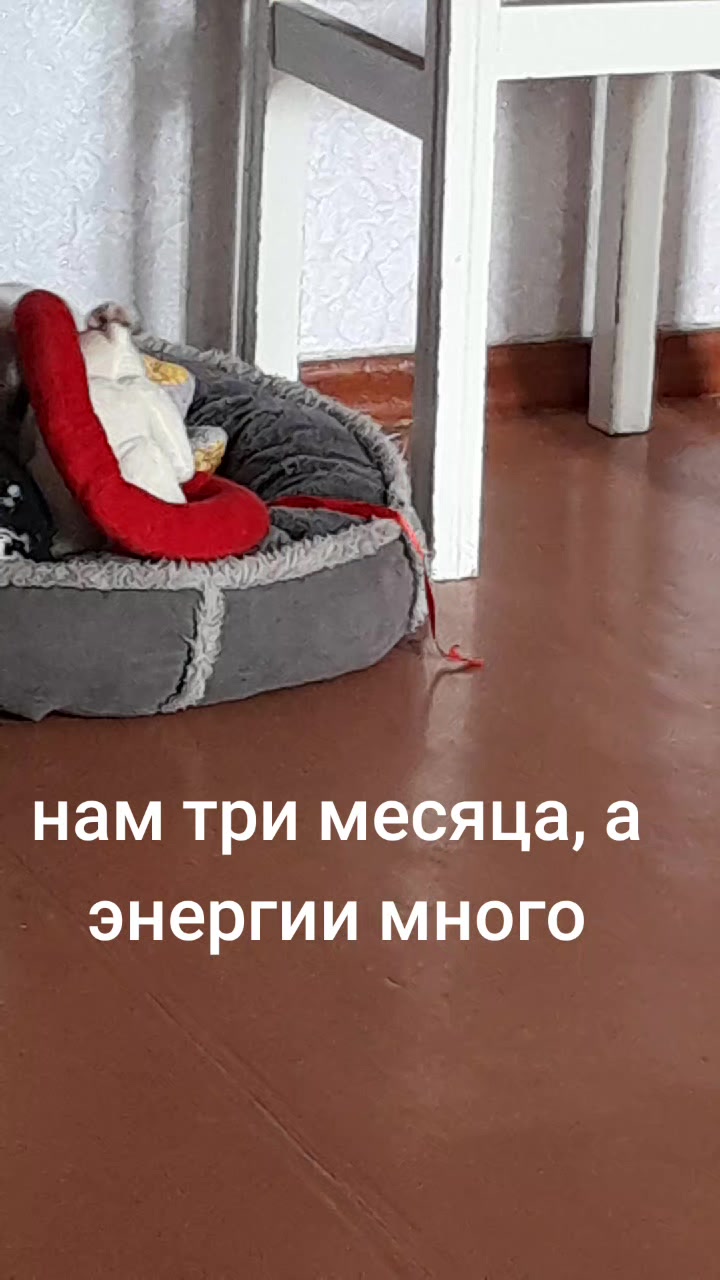 @Жужа