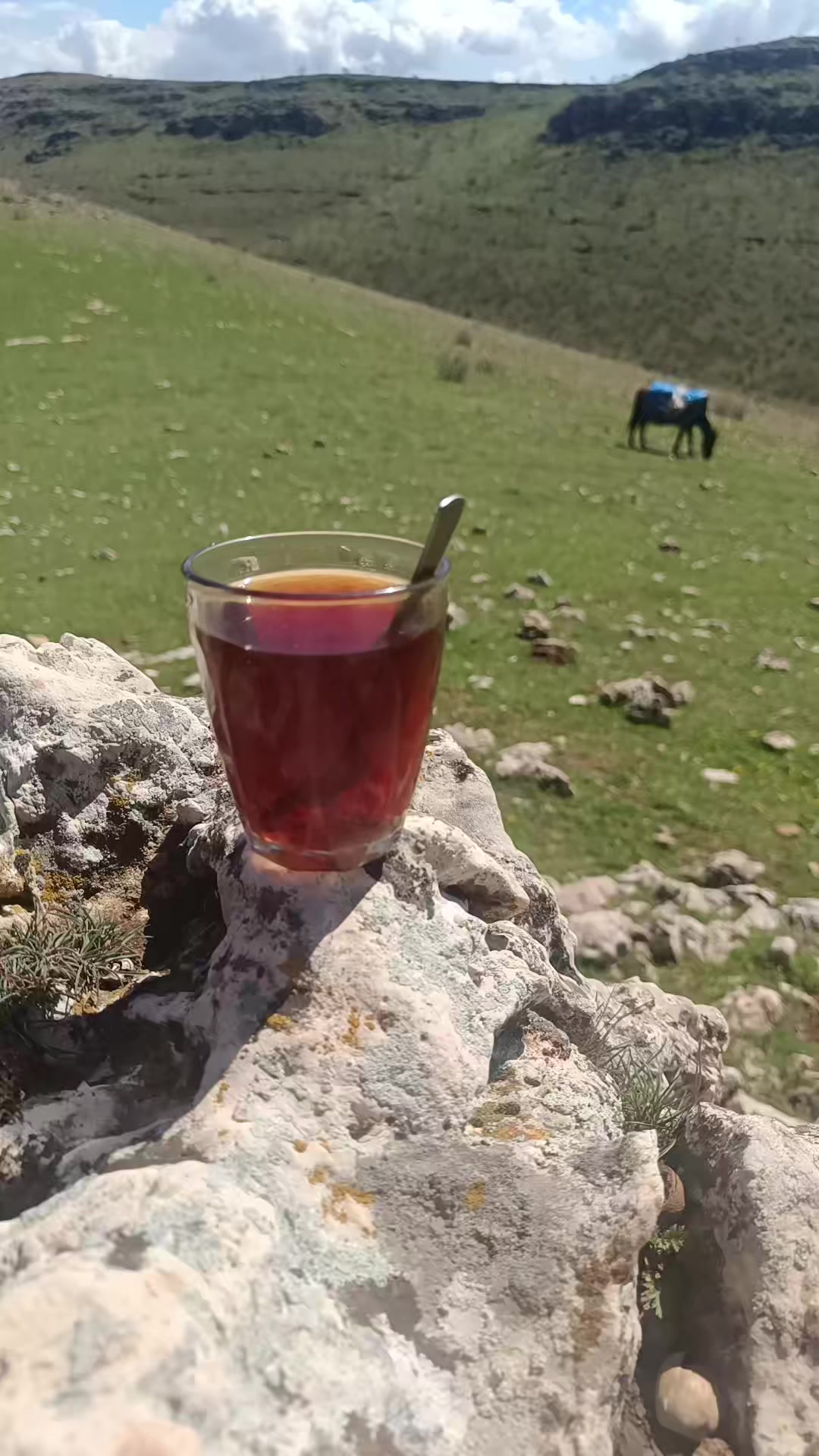 @Abdurrahim g&uuml;l
