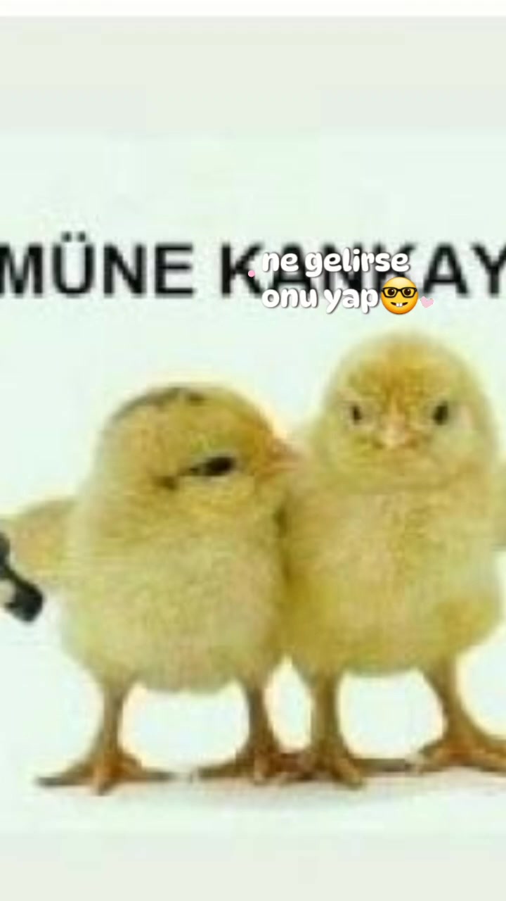@defneymisim