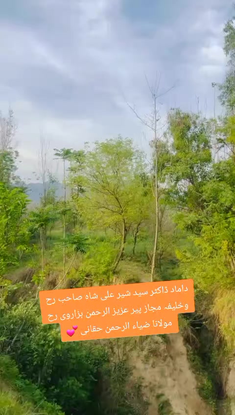@Junaid A Mahmoodi