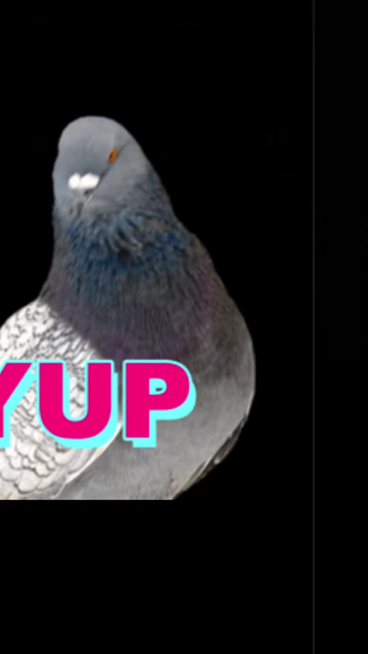 @Maya