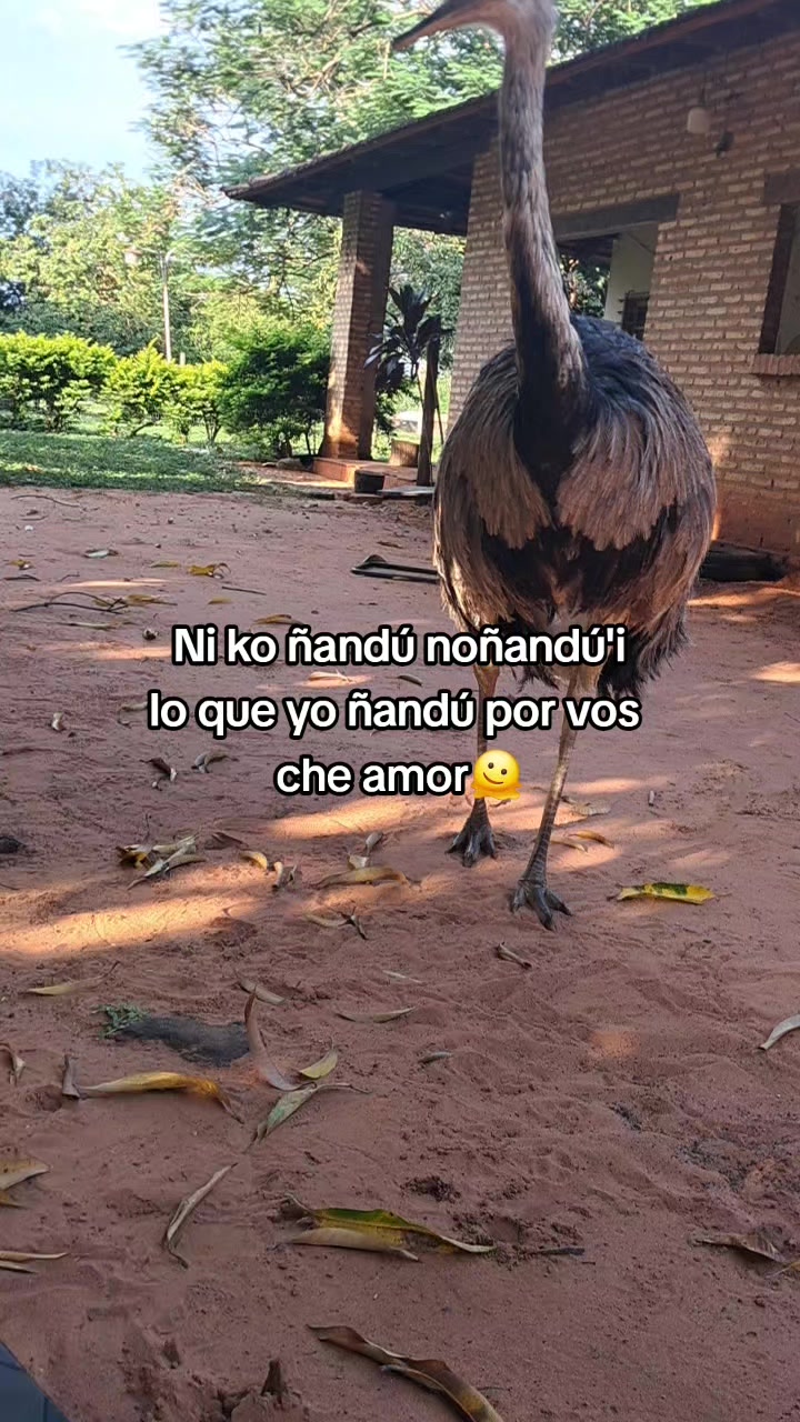 @Jorgito🥺